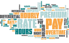 Premium Pay Entitlement Tool